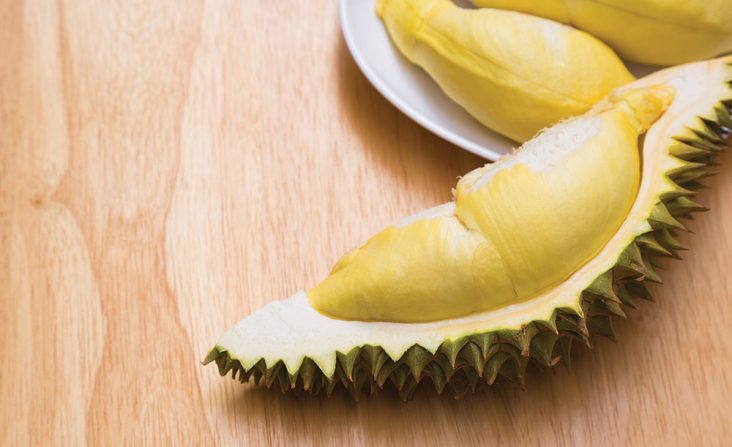 durian_festival