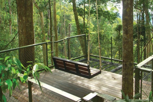 penang_hill_habitat