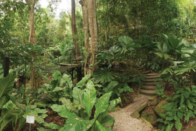 tropical_spice_garden_pic